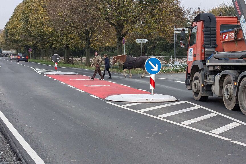Neue Querungshilfe auf der Niedeckerstraße in Hattersheim Geschützte Querungsstelle für Fußgänger und Radfahrende